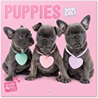 Los mejores  - ERIK - Calendario de pared 2021 Studio Pets Puppies- 30x30 cm
